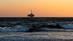 Guyane : Total autorisé à mener une campagne d’exploration pétrolière malgré 7 173 avis défavorables à ces forages en mer