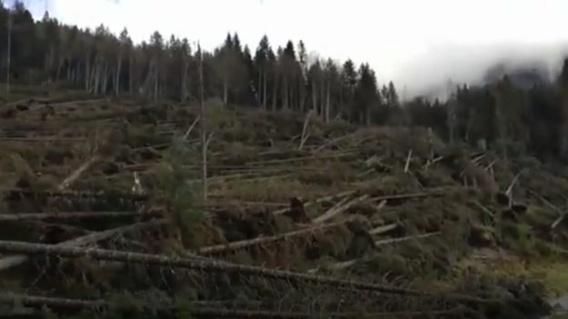 Vidéo : une tempête, qui a littéralement rasé une forêt en Italie, fait des victimes et abîme gravement une cathédrale inondée