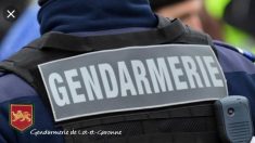 Dans le Lot-et-Garonne, des parents se mobilisent pour faire arrêter un chauffard qui roulait trop vite devant un ramassage scolaire