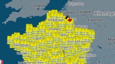« Gilets jaunes »: une carte des blocages prévus pour le 17 novembre
