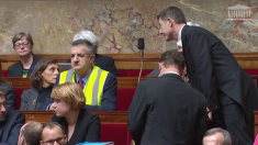 En gilet jaune, le député Lassalle provoque une brève suspension de séance à l’Assemblée