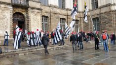 Réunification de la Bretagne : des dizaines de milliers de signatures collectées en Loire-Atlantique