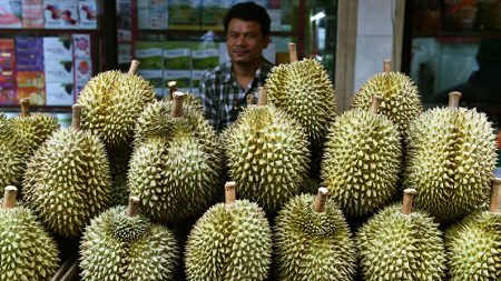 Un vol a été retardé parce que les passagers s’opposaient à la forte odeur de durian dans l’avion