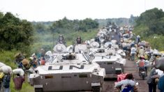 Casques bleus et militaires congolais blessés dans l’offensive contre les rebelles ADF en RDC