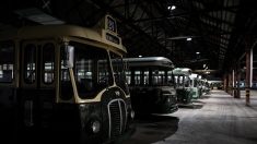 Faute de bus électriques, la RATP va devoir réutiliser ses véhicules diesel