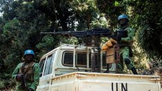 Cameroun: en cinq jours, 90 élèves enlevés puis libérés