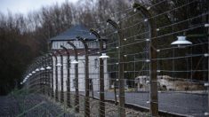 Jugé en Allemagne à 94 ans, un ex-SS doit témoigner des camps