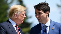 Acier/aluminium: Trudeau espère un accord avec Trump sur les droits de douane d’ici fin novembre