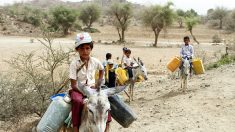 Le Yémen en guerre, un « enfer sur terre » pour les enfants (Unicef)