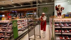 Végétarien et spécialiste de l’alimentation végétale, Pôle emploi lui propose un poste d’aide-boucher dans un supermarché