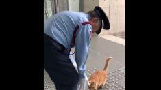 JAPON – Deux chats tentent depuis 2 ans d’entrer dans le musée d’art d’Hiroshima
