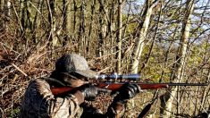 76 fondations et associations dénoncent les « excès » de la chasse