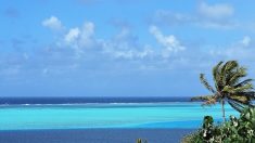 Polynésie : un ado rate son ferry, part à la nage et passe une nuit dans l’océan