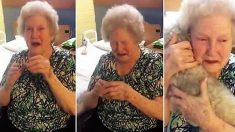 Une grand-mère de 84 ans pleure de joie quand sa famille lui offre un chien de compagnie