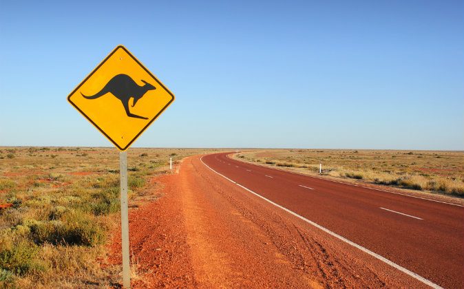 Panneau de signalisation kangourou par Shutterstock*