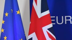 Le Royaume-Uni peut décider seul de renoncer au Brexit (justice européenne)