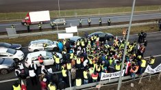 « Protester à la française »: des agriculteurs en gilet jaune manifestent en Pologne