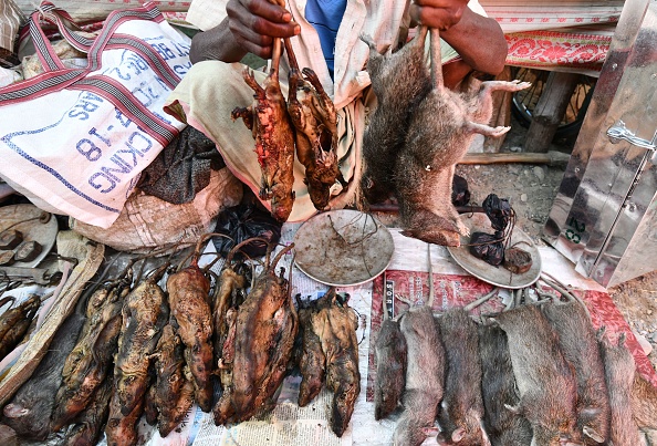 -Un vendeur indien de tribus vend des rats cuits et non cuits sur un marché hebdomadaire dans le village de Kumarikata, le long de la frontière indo-bhoutanaise, à environ 90 km de Guwahati. Le rat est au sommet du menu des fêtes de fin d’année pour les foules qui affluent vers un marché du nord de l’Inde spécialisé dans les rongeurs capturés dans des champs locaux. Photo BIJU BORO / AFP / Getty Images.