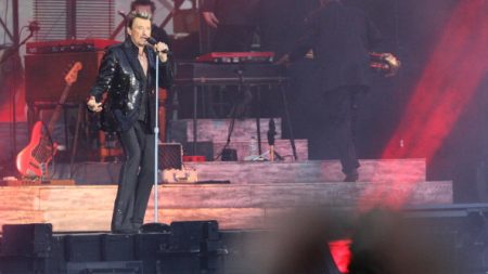 Héritage Hallyday: la justice française se prononce sur le gel des royalties