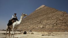 Aux pyramides de Guizeh, la frénésie touristique habituelle au lendemain d’un attentat