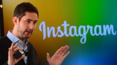 Instagram change sa présentation par accident et se prend un vent