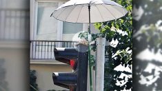 Un étranger met un parapluie au-dessus d’un feu de circulation pour une noble cause, et cela attire ainsi l’attention du pays