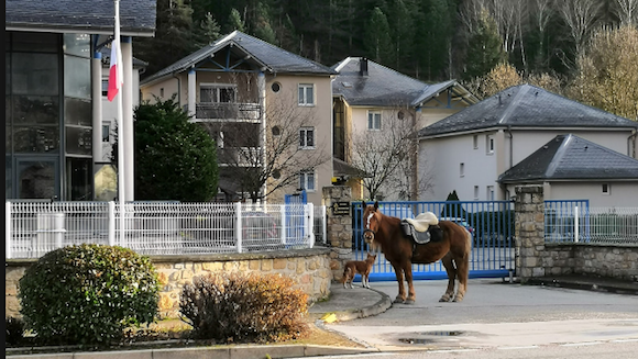 Lozère : un homme vient récupérer son permis à cheval. (Capture d’écran Facebook Frédéric Dupuis)
