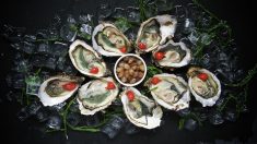 Bretagne : les coquilles d’huîtres et autres fruits de mer recyclés dans la Presqu’île de Guérande