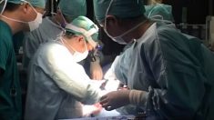 Un homme témoigne après avoir assisté au prélèvement des organes d’une personne vivante : « Aucun anesthésique n’a été utilisé »