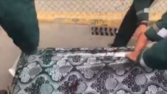Une vidéo choquante montre des immigrants illégaux cachés dans des matelas pour passer la frontière entre l’Afrique et l’Europe