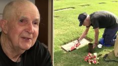 Un ancien combattant de la Seconde Guerre mondiale, âgé de 93 ans, prend 3 autobus chaque jour pour aller visiter la tombe de son épouse