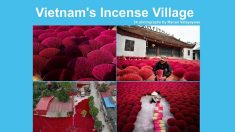 Au Vietnam, les « villages de l’encens » s’animent à l’approche des fêtes du Têt