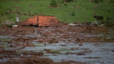 A Brumadinho, une rivière de boue, des montagnes de douleur