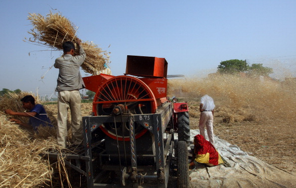 -Les organisations humanitaires n’ont pas accès au stock de blé pour nourrir la population. Photo PRAKASH SINGH/AFP/Getty Images.