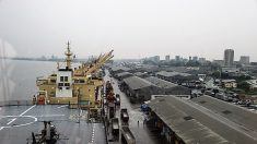 Bolloré disqualifié pour la concession du port de Douala après 15 ans d’exploitation