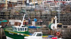 Boulogne-sur-Mer : 14 migrants interpellés alors qu’ils tentaient de quitter le port sur un bateau de pêche volé