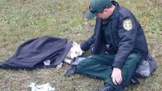 Une photo d’un policier réconfortant un chien sur les lieux d’un accident de voiture devient virale sur Internet