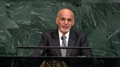 Afghanistan : manifestations pour réclamer la paix