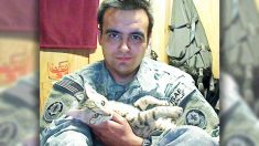 Un soldat américain déprimé sauvé d’un suicide par un chat qu’il a sauvé en Afghanistan