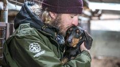 200 chiens sauvés d’une ferme de viande en Corée du Sud, acheminés vers le Canada et les États-Unis