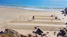 VIDÉO : il dessine un drapeau breton géant sur le sable d’une plage de Carnac