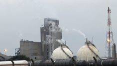 Yvelines – une fuite de pétrole contamine plusieurs hectares de terres arables : « Les travaux vont durer des mois » 