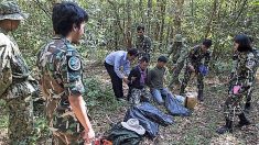 Trafic d’animaux sauvages: les gardes-forestiers thaïlandais en quête d’une meilleure formation