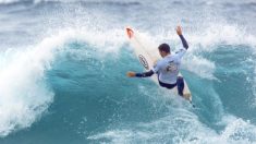 Australie: un surfeur grièvement blessé par un requin