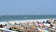 Les pêcheurs sénégalais bienvenus à nouveau dans les eaux mauritaniennes