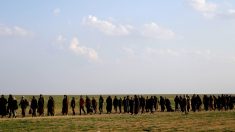Syrie : 13 jihadistes français remis à l’Irak « seront jugés selon la loi irakienne »