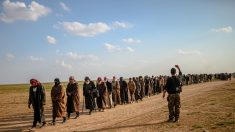 Syrie: les FDS continuent de traquer les jihadistes parmi les évacués