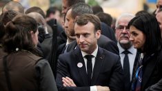 Emmanuel Macron veut « réguler » les populations de loups