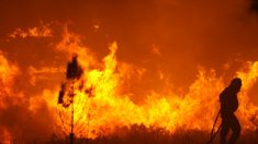Le nord de l’Espagne touché par près de 50 incendies