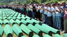 Massacre de Srebrenica: la responsabilité de l’Etat néerlandais remise en question